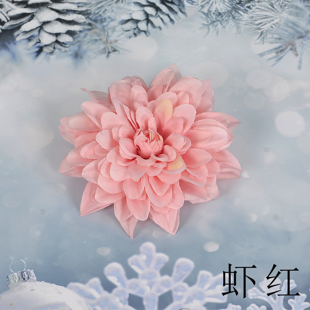 새우 레드 SL 큰 epiphyllum 꽃 머리