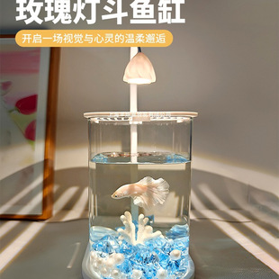 2025�¿�~��С�;W�t�����׿͏d�����^�p�~�쾰�k���ҹ�λ�~��