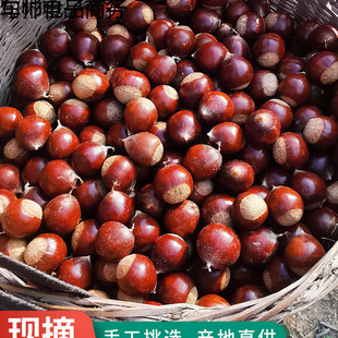 �긣�����T�خa�F�����������r������ɽ�r�ҬFժ����ǳ���