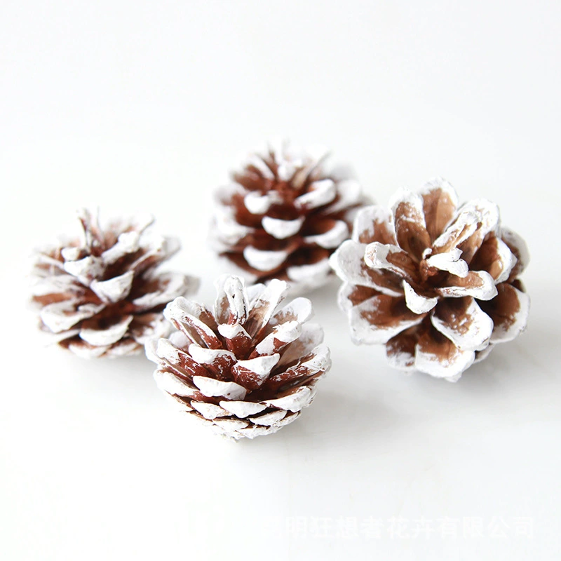Dry Flower DIY Materials [Dry Fruit] Madman Sommelier Candle Plant Simagon Handmade Class Dry Flower Dry Branches Material