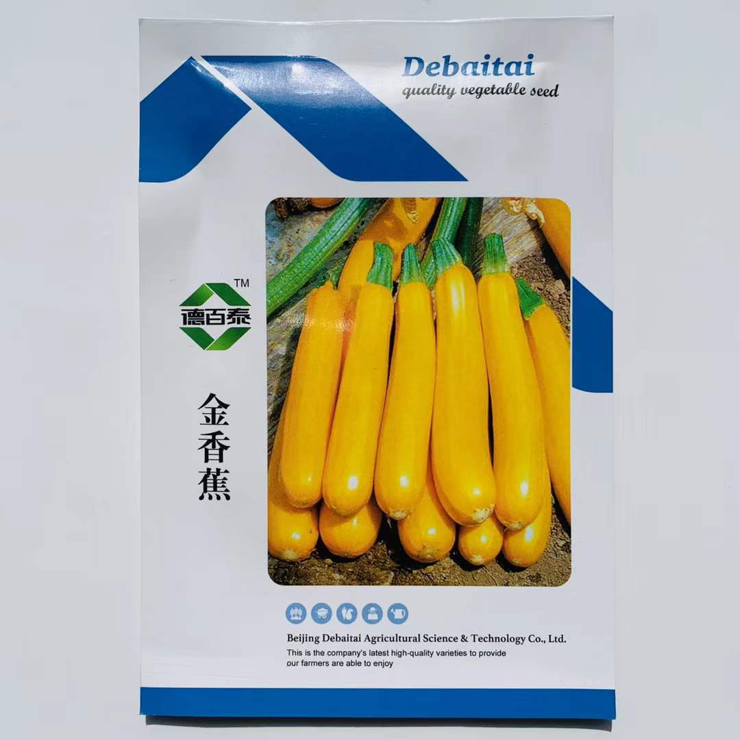 西葫芦种籽占瓜种子四季阳台盆栽青皮葫芦种孑站番瓜蔬菜种孑-阿里巴巴