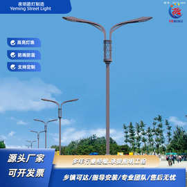 定制市电路灯 路灯杆件单臂路灯双臂路灯源头生产厂家批发价格