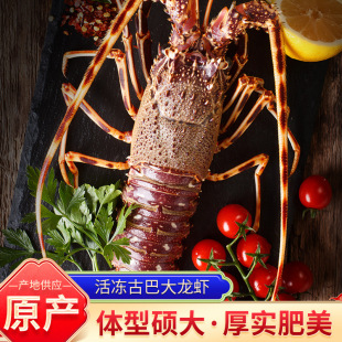 ����Űʹ����r �F؛�������������횲�[��ϯ�ش��r���l