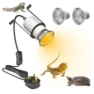 Reptile Ceramic Heating Lamp Holder Bracket Reptile Climbing Pet Feeding Box Lizard Snake Wu Tortoise High Temperature Resistant Lamp Holder