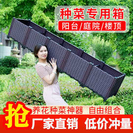 花箱种植箱种菜专用箱阳台蔬菜神器室户外楼顶塑料种菜盆工厂批发