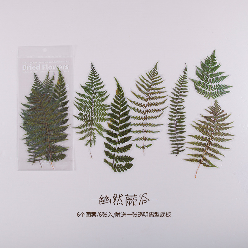 Mo Jing PET Diario pegatinas de fin de semana Flower Shop serie vintage material vegetal pegatinas Collage decoración 6 unidades 8 modelos