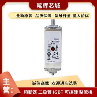 170M1565D 170m1565 Electronic Components and Components Stock Well Bassmann Dc Fast Fuse