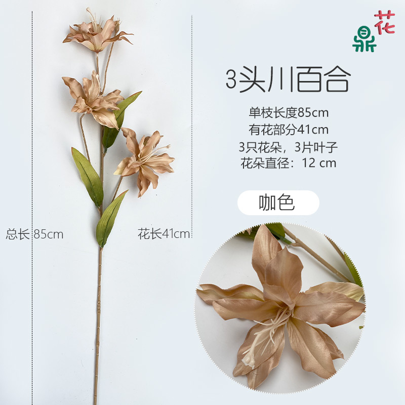 3 헤드 사천 릴리 다크 브라운
