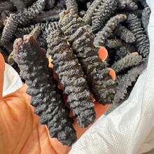 ���ɺ��� ���Ʋ� ���Ʋ� �ڴ̲� ���ƴ̲� ���ɺ�������