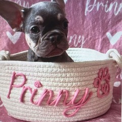 Etsy热い贩売かわいい风コットンロープ収纳バスケット子供のおもちゃ书籍雑志収纳バスケットアルファベットギフトセット