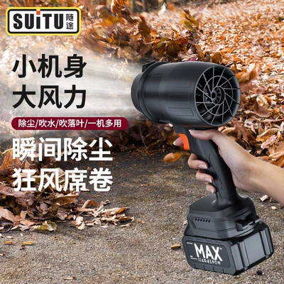 Battery Blower Fan: Car cleaning tools