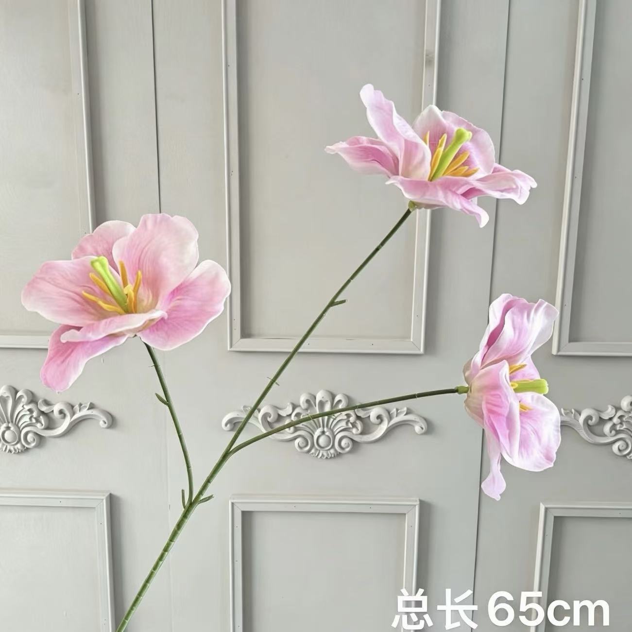 분홍색 삼두 튤립