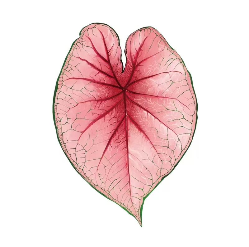植物の魔法】熱帯の珍しい植物のアイデアの緑の植物の冷蔵庫は緑の植物の装飾の植物のシリーズの冷蔵庫を貼って貼ります。|undefined