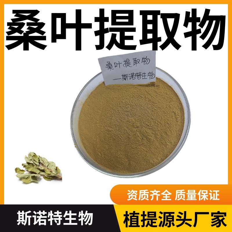 桑叶提取物10:1 30:1规格多 水溶性好源头厂家供应桑叶粉 另有DNJ