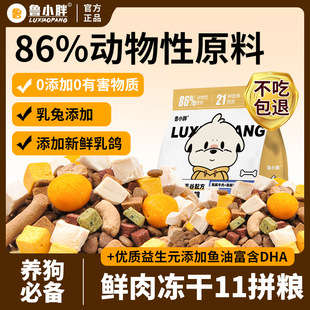 ��С��10�N���������r�⹷�Z��Ȯ��Ȯͨ�ý�ë�������ఢ��˹�ӹ�