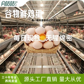 鸡蛋;鸡肉类