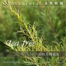 有机茶树精油  澳大利亚丨进口天然单方精油植物护肤按摩原料批发
