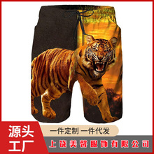 2025�羳�ļ��¿���װ����͸����3D����ӡ���̿���ɿ�ֱͲɳ̲��