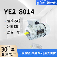 YE3-8014 550w�����X�����ஐ��늙C �X�Ͻ�΁݆΁�U���לp��늙C