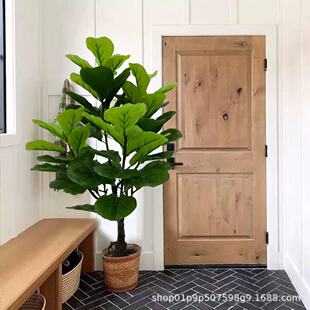 �羳���W����Gֲ���~�żҾ���ؾGֲ�٘� ������k��������[��