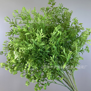 �Gɫϵ����Gֲ �ȼ�����ɫɭϵ��c�bGֲ��픵���ֲ����