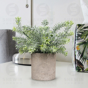 �F؛�������� ����A�����{���˪���ݷ���Gֲ�辰�羳����ֲ��