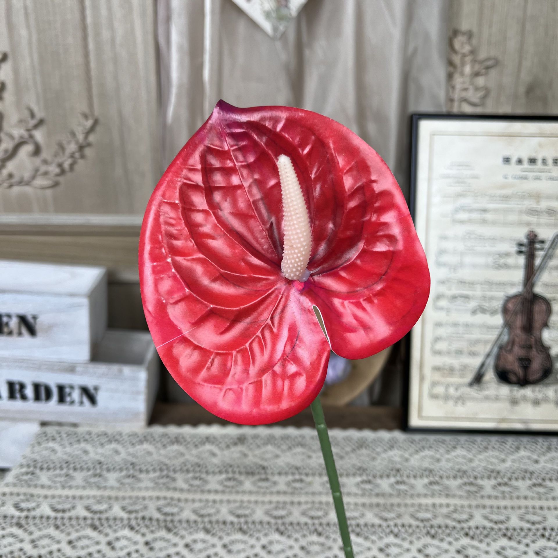 FY-Anthurium-vermelho