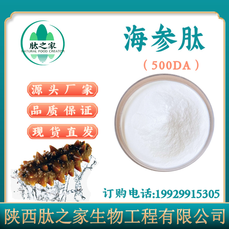 海参肽原料 500Da海参短肽 小分子海参活性肽 海参肽原料厂家