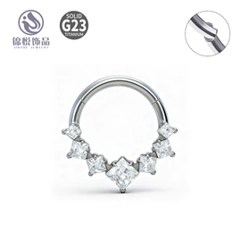 鼻饰;唇饰;耳环