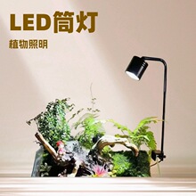 ˮ��������΢̦�\ֲ�����L��С�ݸן�LEDͲ�����^�����{��ˮ�ݟ�