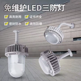 其他专用灯具;防爆灯;头灯头戴电筒