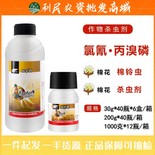 �пƳ���͸ �Ț�&middot;����������x�޻��|��θ ���x�Ѽ暢�rș���x��