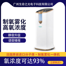 家用雾化制氧机静音小型分子筛带氧浓度检测老人孕妇吸氧气机批发