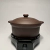Casserole 5.5L electric base