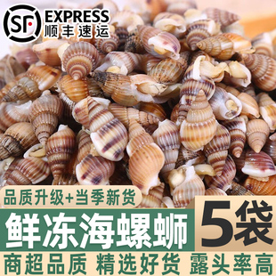 �r��ݽz������F���������r����������r���ݽz�������r