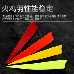 弓箭箭支配件4英寸盾形真羽箭羽火雞羽混碳箭支碳素玻纖箭支可用