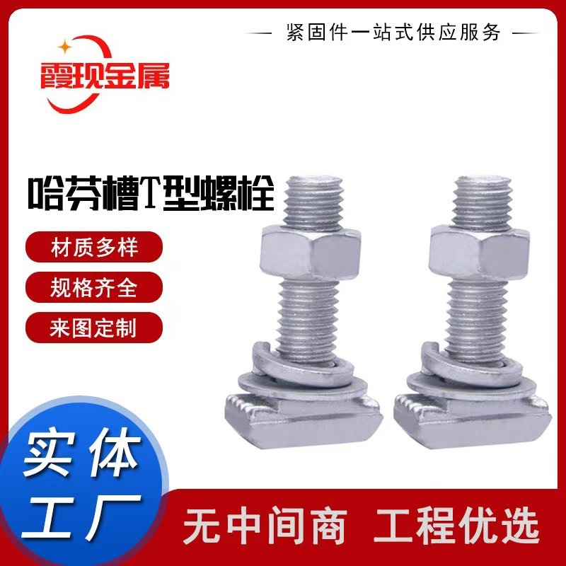 厂家供应12*50T型螺栓 30*20预埋槽道用带齿螺栓 现货