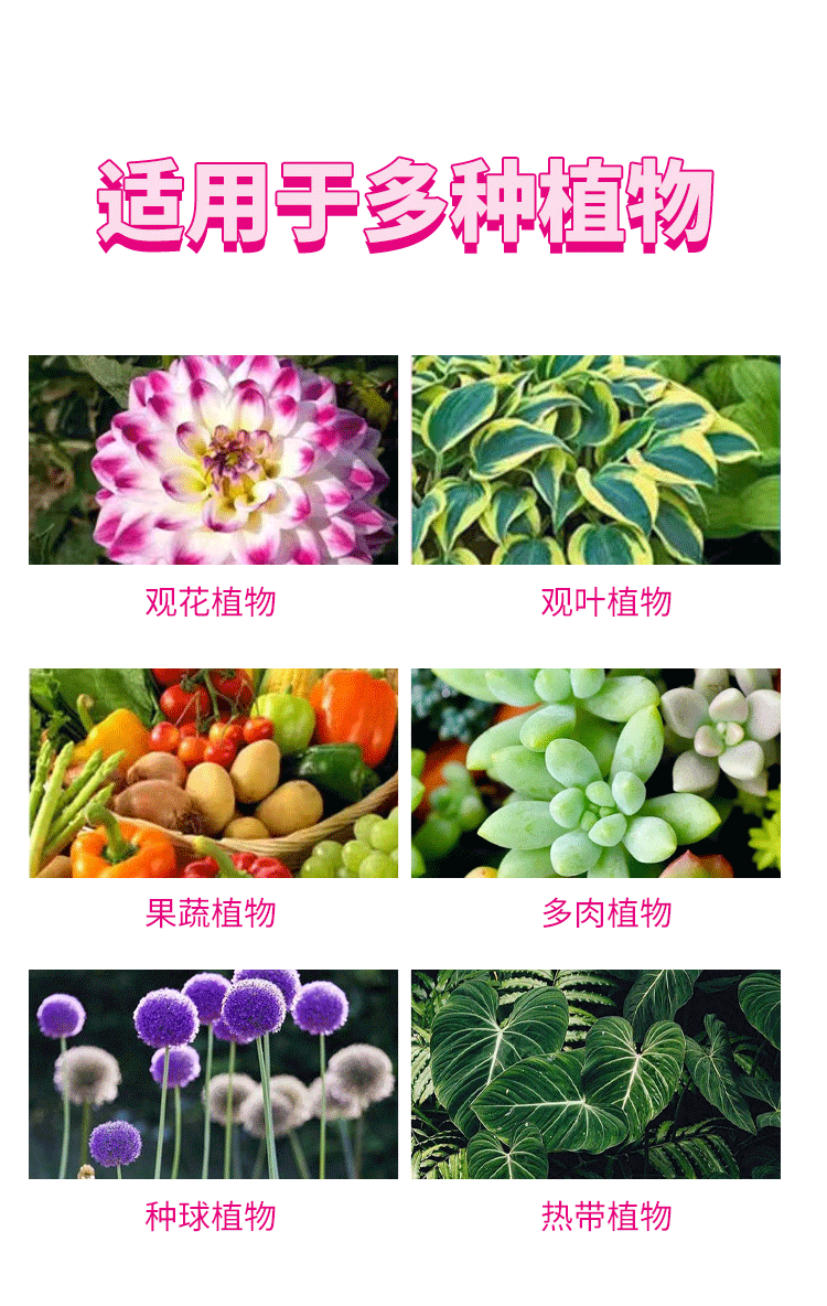 详情切片_05.gif