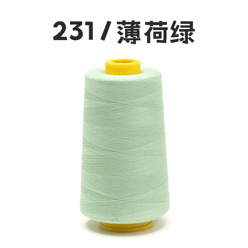 404 라이트 민트 그린*502 라인