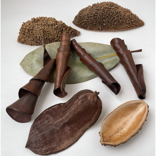 �������쾰ֲ������M�ڴ��o��������С�Ϲ��Ĕz�����b[��~��