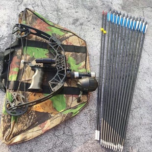 С�w���~������ͺϹ�С�͹����߾����������T�w������