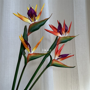 ���������B�Q���m���Q���滨ϐβ�����B�ָ�ܛ�z�Ҿ��b�c���Q