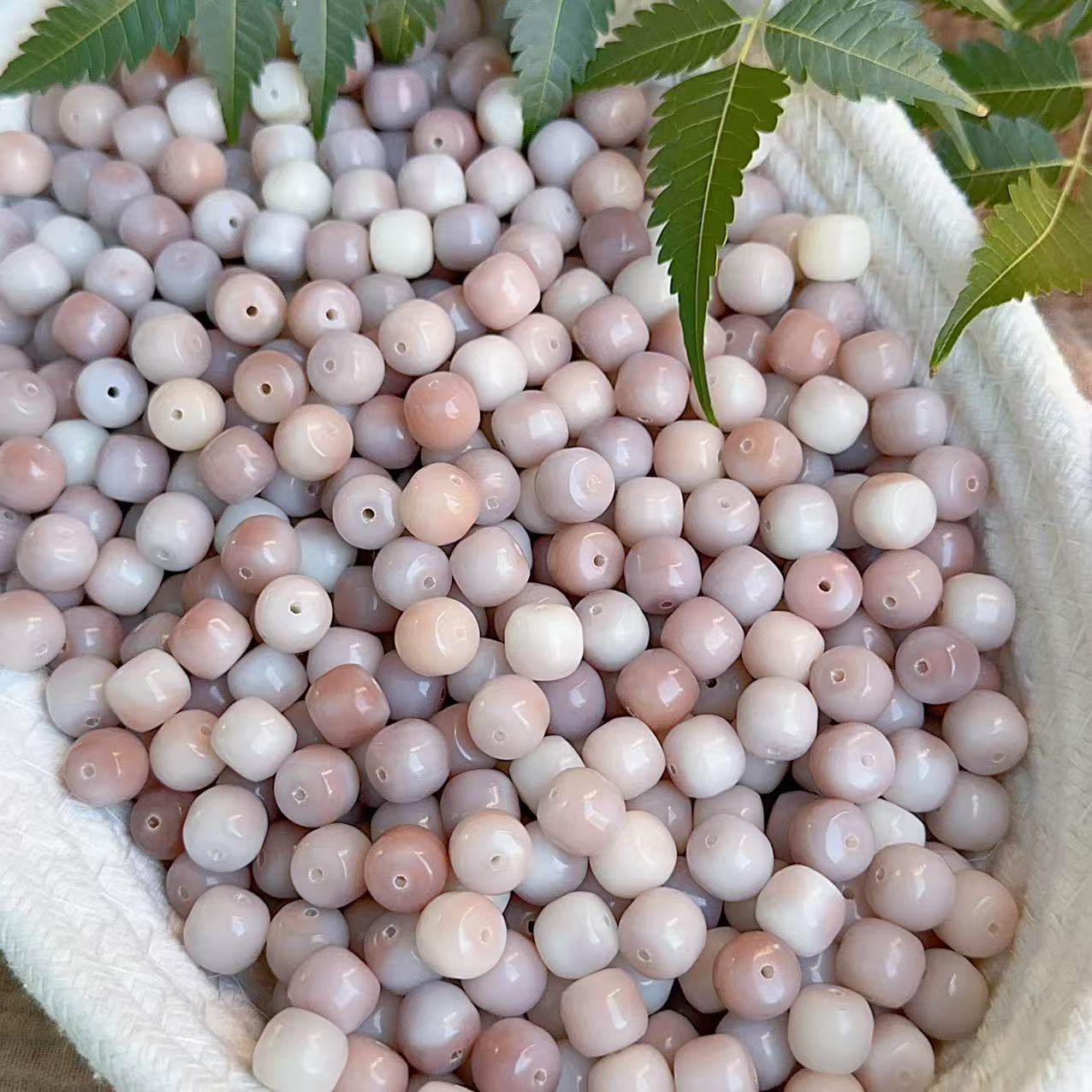 2c6c7ec3c274a95a460c61b3b1149f