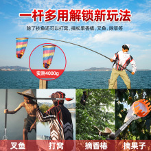 伸缩抄网杆悍多用途功能大物收缩杆碳素10米超硬打窝暴力摘果抄网