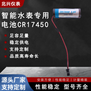 ����ˮ�팣��늳�CR17450��i�������^ʽ3.0V�F؛�������L�m��