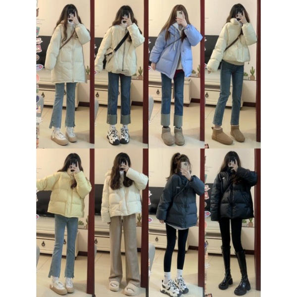 Thirteen Lines Short Thickened Stand Collar down Jacket for Women Petite Winter New Style Puffer Coat White Duck down Wholesale