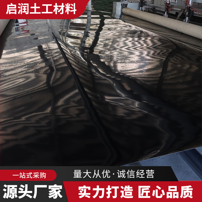 土工膜蓄水池双糙面土工膜沼气池黑色土工膜垃圾填埋场防渗土工膜