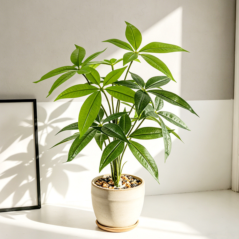 Artificial Plant Money Tree Fake Tree Landscaping Green Plant Potted Indoor Living Room Decoration Plastic Potted Plant Movable Landscaping Tree Artificial Plant Money Tree Fake Tree Landscaping Green Plant Potted Indoor Living Room Decoration Plastic Potted Plant Movable Landscaping Tree