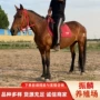 内蒙伊犁一匹跑马马