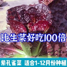 �Ͽ�ȸ���_�Rֱ���������r�߲�ɳ������������֭��ȸ�˷N��